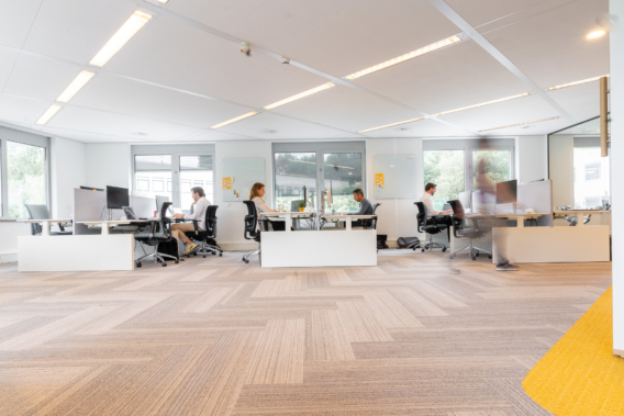 Kantoor Yellowtail Conclusion collega's aan het werk