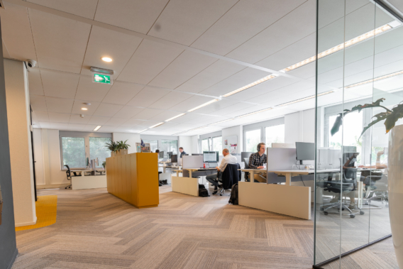 Kantoor Yellowtail Conclusion, collega's aan het werk